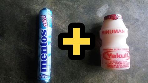 Mentos + Yakult experiment (Warning: Not for people who have。